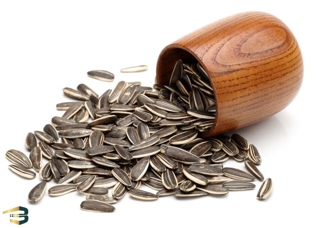 تخمه آفتابگردان