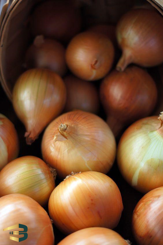 onion